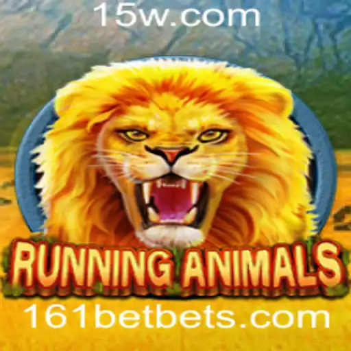 161bet Jogos de bingo